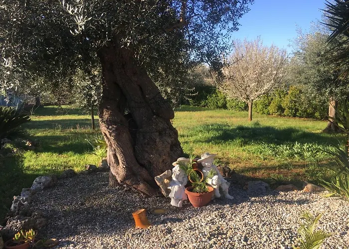 Quirico Guest House