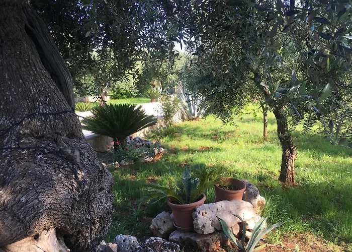 Quirico Guest House