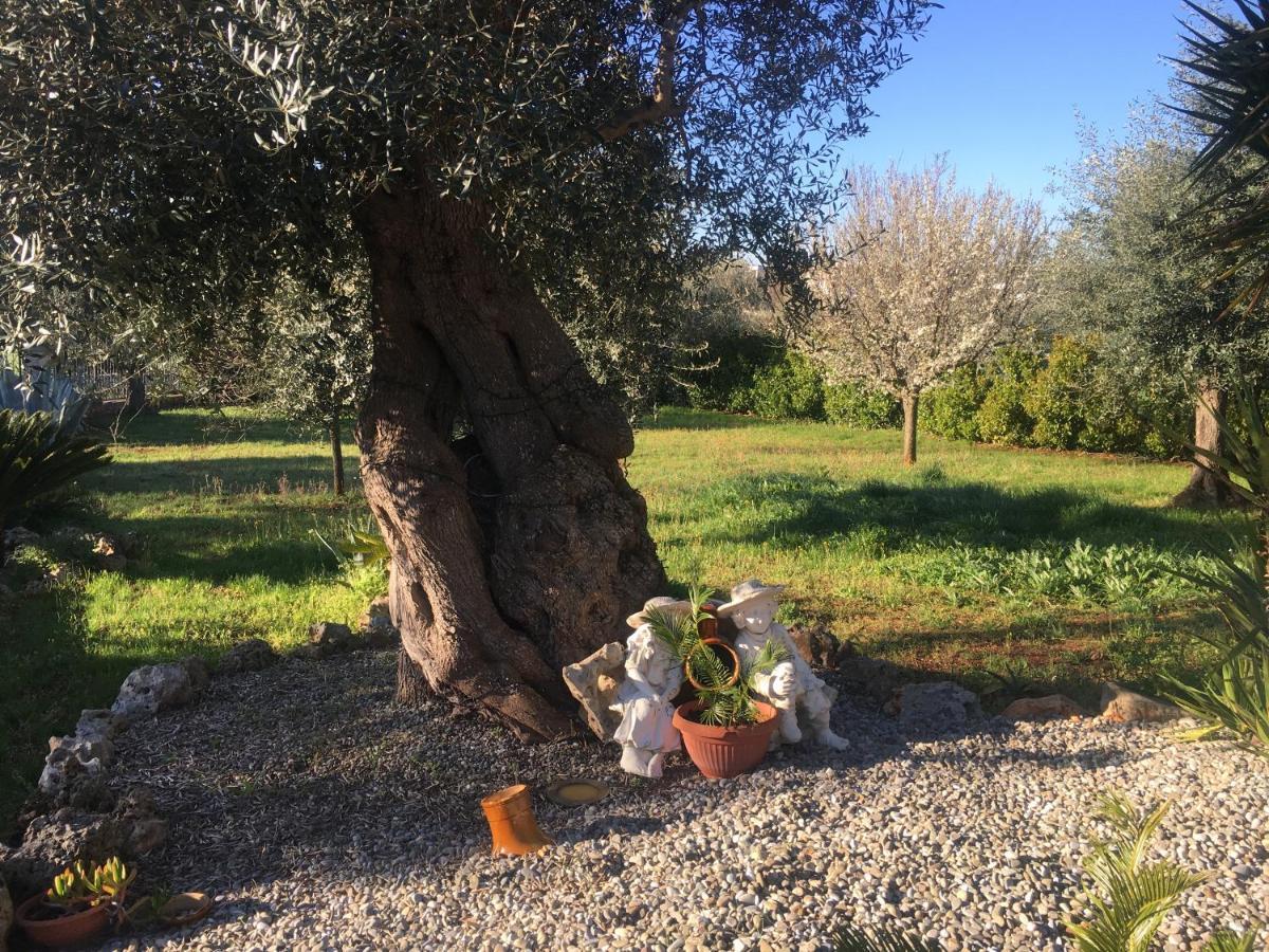 Quirico * Locorotondo